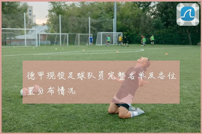 德甲现役足球队员完整名单及各位置分布情况
