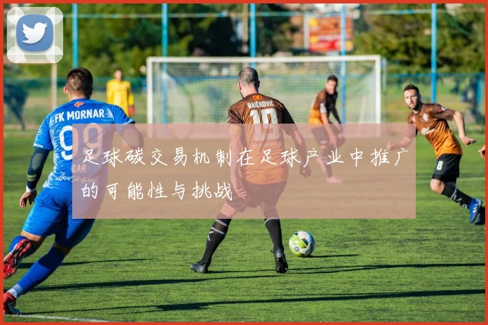 足球碳交易机制在足球产业中推广的可能性与挑战